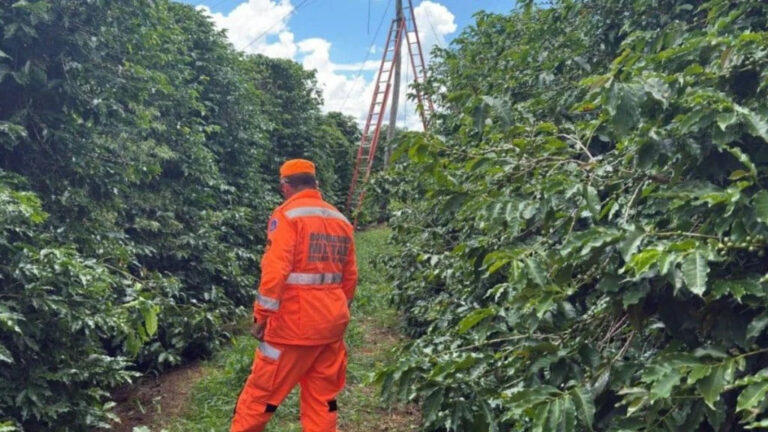 Técnico de internet morre eletrocutado durante serviço em poste na zona rural de Campos Gerais - Foto: Divulgação/CBMMG