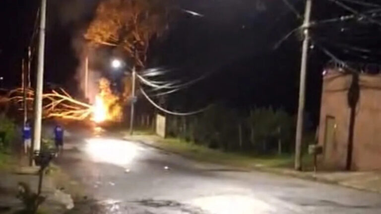 Queda de eucalipto provoca incêndio em transformador e deixa bairro sem luz em BH - Foto: Reprodução