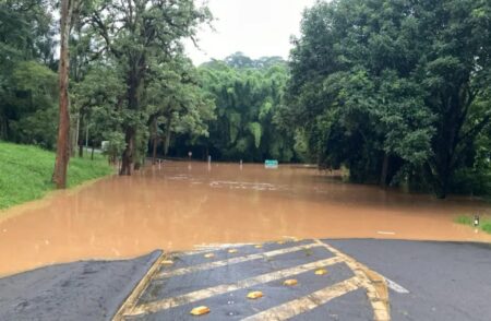 Chuvas provocam interdição da BR-040 e BR-267 na Zona da Mata mineira - Foto: Reprodução