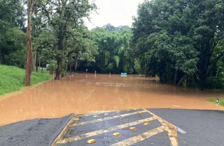Chuvas provocam interdição da BR-040 e BR-267 na Zona da Mata mineira - Foto: Reprodução