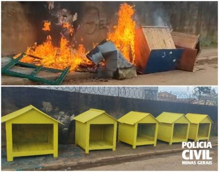Polícia Civil identifica suspeito de incendiar abrigos para cães em Nova Lima - Foto: Divulgação/PCMG
