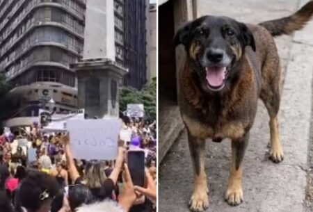 Manifestantes fazem ato em BH contra maus-tratos do cão Orelha Manifestantes fazem ato em BH contra maus-tratos do cão Orelha - Foto: Reprodução/Redes Sociais