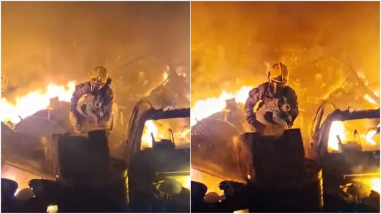 Bombeiros salvam cadela durante incêndio em oficina no Sul de Minas - Foto: Divulgação/Corpo de Bombeiros
