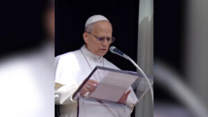 Papa Leão XIV manifesta solidariedade às vítimas das chuvas em Minas Gerais - Foto: Reprodução/Vatican News