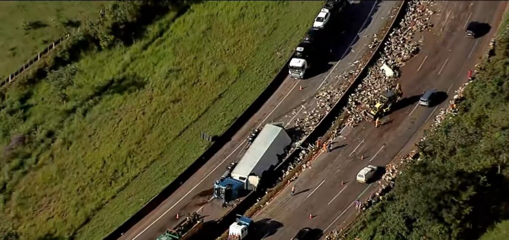 Carreta com maçãs tomba e interdita Rodovia Fernão Dias, na Serra de Igarapé Carreta com maçãs tomba e interdita Rodovia Fernão Dias, na Serra de Igarapé - Foto: Reprodução/TV Globo