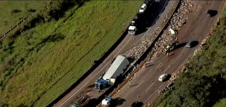 Carreta com maçãs tomba e interdita Rodovia Fernão Dias, na Serra de Igarapé Carreta com maçãs tomba e interdita Rodovia Fernão Dias, na Serra de Igarapé - Foto: Reprodução/TV Globo