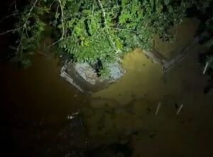 Motorista morre após caminhão cair de ponte na BR-365 em Patos de Minas Motorista morre após caminhão cair de ponte na BR-365 em Patos de Minas - Foto: Divulgação/Corpo de bombeiros