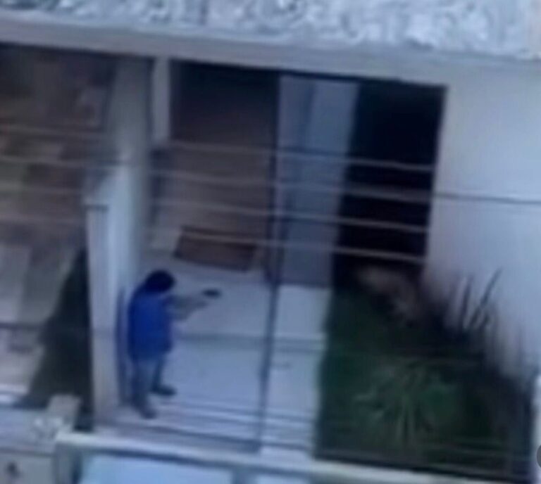 Homem é preso após matar cão a tiros em Pará de Minas - Foto: Reprodução/Redes Sociais