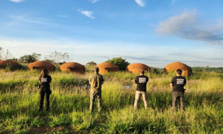 Operação mira BH e outras 11 cidades de MG por esquema de lavagem no setor de carvão - Foto: Divulgação/PCMG