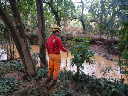 Bombeiros seguem buscas por desaparecido em Ubá - Foto: Divulgação/CBMMG