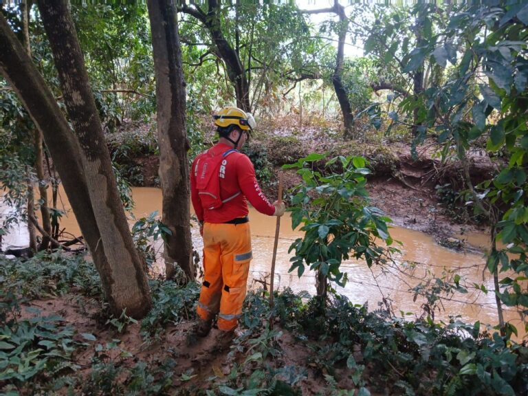 Bombeiros seguem buscas por desaparecido em Ubá - Foto: Divulgação/CBMMG