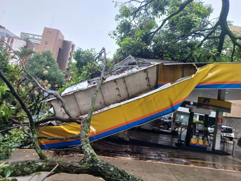 Galho cai durante temporal e derruba cobertura de posto em BH - Foto: Divulgação/Corpo de Bombeiros