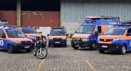 Serviço gratuito atende cães e gatos em urgência - Foto: Divulgação/PBH