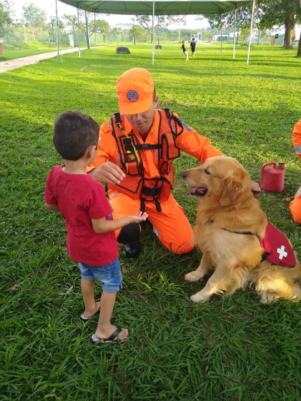 Thor, cão dos Bombeiros que visitava escolas e doava sangue, morre aos 11 anos - Foto: Divulgação/CBMMG