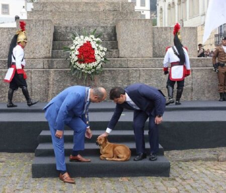 Cachorro caramelo rouba cena em cerimônia da Inconfidência em Ouro Preto - Foto: Gil Leonardi / Imprensa MG