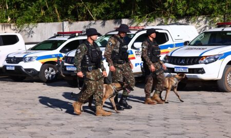 Operação Mar de Minas prende 102 pessoas em 32 dias em Capitólio - Foto: Maurício Vieira / Sejusp