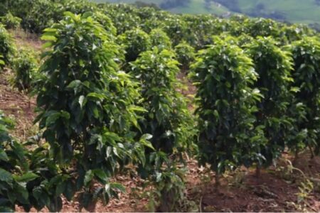 image 870x580 69d6699a72c8e SFSUhA