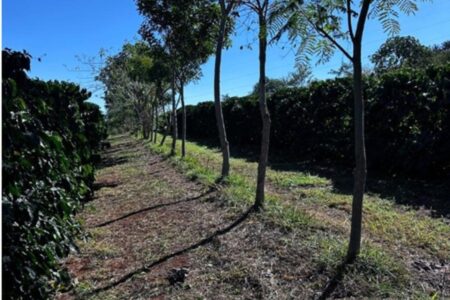 image 870x580 69e0f54bcd14c Ax4s96