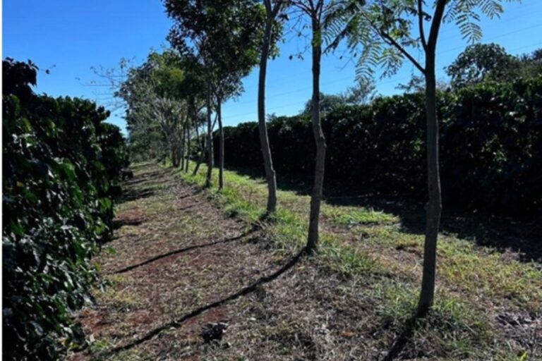 image 870x580 69e0f54bcd14c Ax4s96