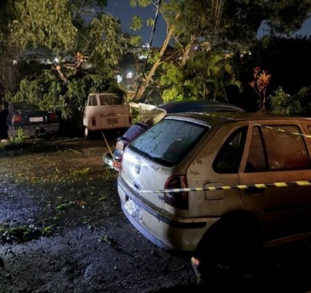 Queda de árvores derruba postes e atinge veículo na Grande BH - Foto: Divulgação/CBMMG