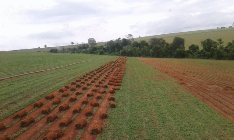 unnamed 2026 04 16T105957.486