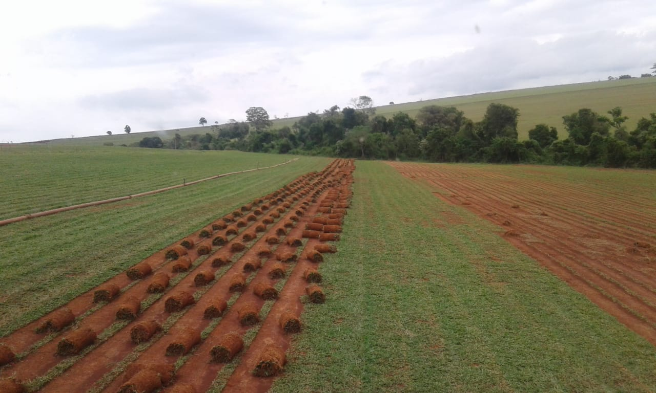 unnamed 2026 04 16T105957.486