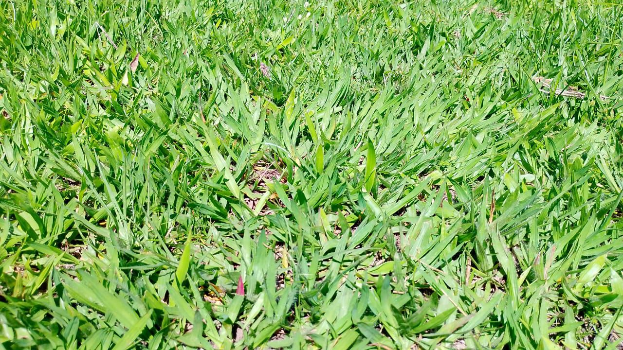 unnamed 2026 04 16T110006.730