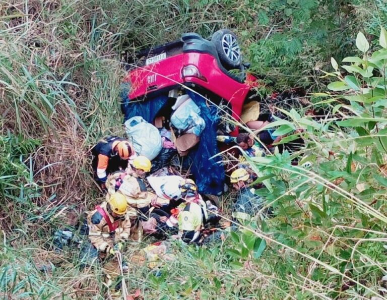 Homem ferido sobe barranco e salva casal de idosos após acidente na BR-381, em MG Homem ferido sobe barranco e salva casal de idosos após acidente na BR-381, em MG - Foto: Divulgação/CBMMG