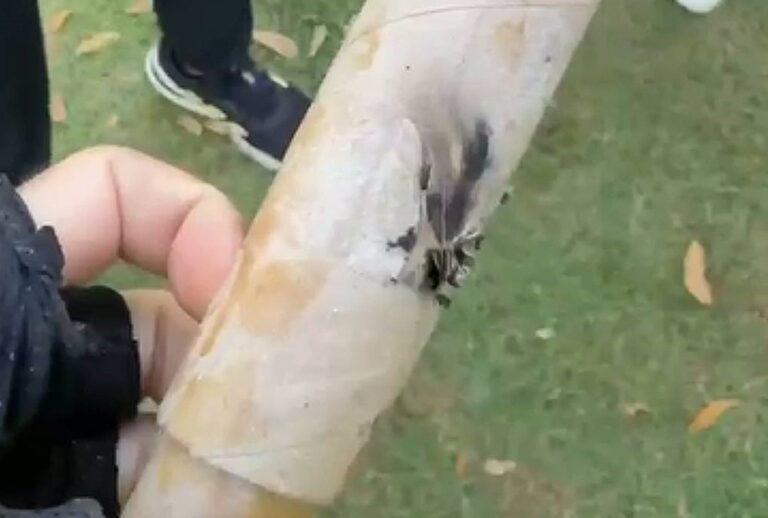 Adolescente é suspeito por atacar atletas com fogos na Pampulha, em BH - Foto: Reprodução/Arquivo Pessoal