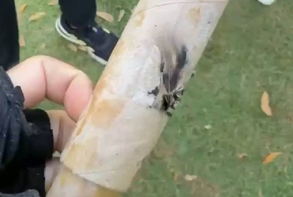 Adolescente é suspeito de atacar atletas com fogos na Pampulha, em BH