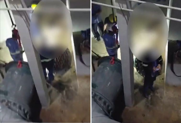 Vídeo mostra resgate de égua que caiu em adutora e afetou abastecimento na Grande BH - Foto: Reprodução/Redes Sociais