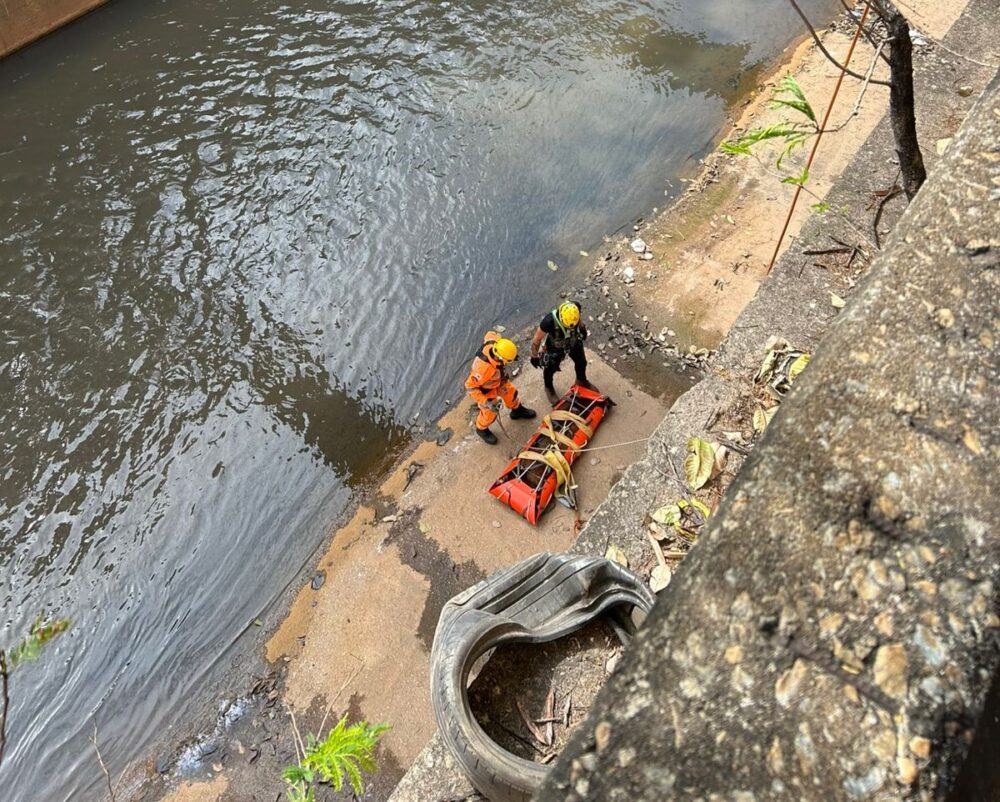 BH: Potro cai no Rio Arrudas e é resgatado pelos bombeiros BH: Potro cai no Rio Arrudas e é resgatado pelos bombeiros - Foto: Divulgação/CBMMG