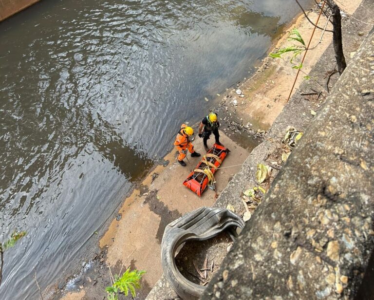 BH: Potro cai no Rio Arrudas e é resgatado pelos bombeiros BH: Potro cai no Rio Arrudas e é resgatado pelos bombeiros - Foto: Divulgação/CBMMG