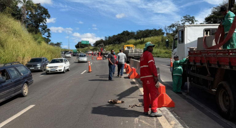 Anel Rodoviário de BH terá intervenções neste fim de semana; veja local e horário - Foto: Divulgação/PBH
