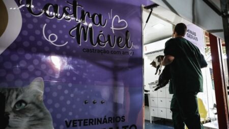 Contagem abre inscrições para mutirão de castrações de cães e gatos Contagem abre inscrições para mutirão de castrações de cães e gatos - Foto: Divulgação/Luci Sallum