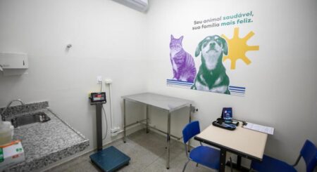 PBH altera agendamentos de consultas e cirurgias veterinárias; veja como acessar os serviços PBH altera agendamentos de consultas e cirurgias veterinárias; veja como acessar os serviços - Foto: Adão de Souza/PBH