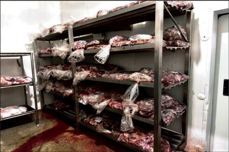 Fiscalização encontra irregularidades em carnes e empresa é multada em MG - Foto: Divulgação/MPMG