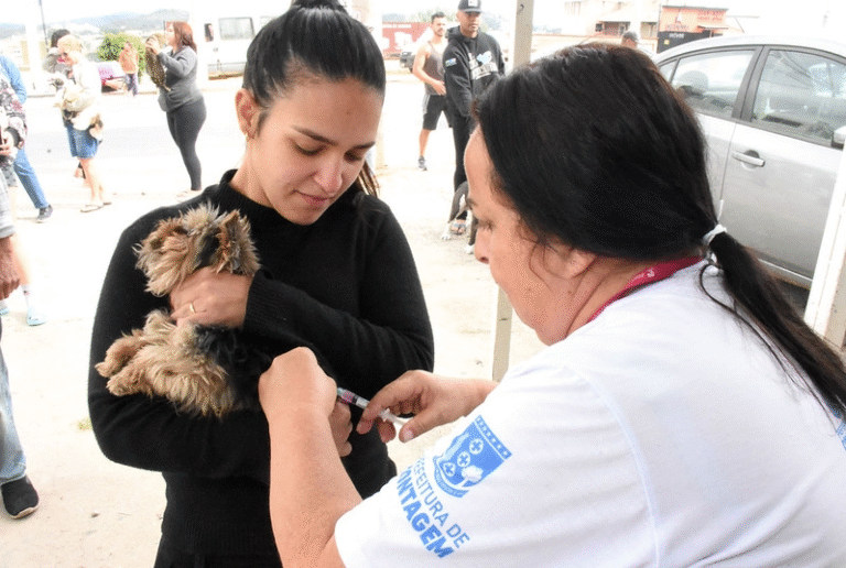 Prefeitura de Contagem realizará vacinação antirrábica para cães e gatos, veja quando e onde- Foto: Ricardo Lima