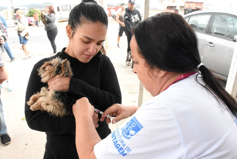 Prefeitura de Contagem realizará vacinação antirrábica para cães e gatos, veja quando e onde- Foto: Ricardo Lima