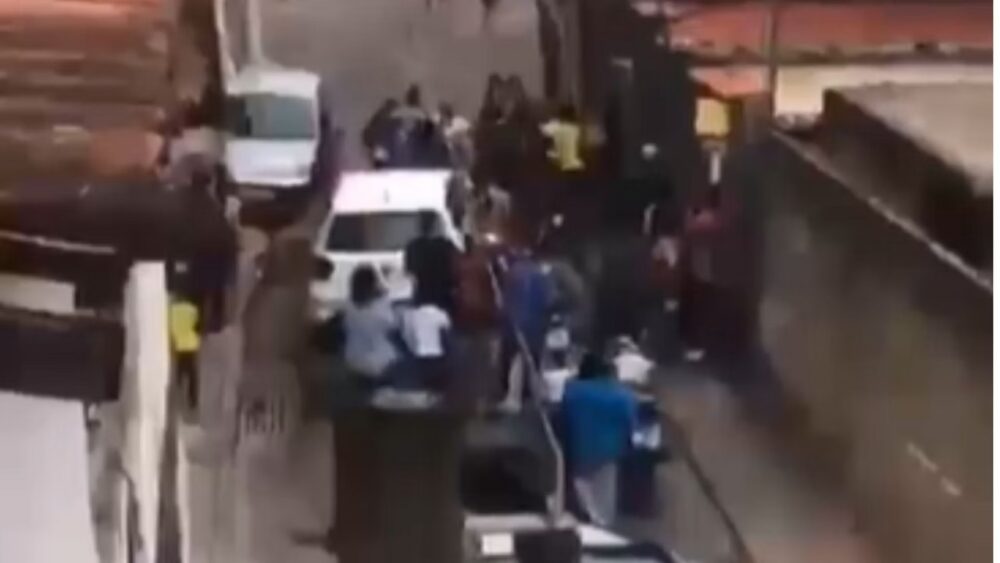 Ataque de pitbull termina em briga generalizada e cinco pessoas são presas em BH - Foto: Reprodução/Redes Sociais