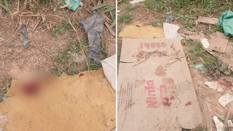 Cachorros ajudam a salvar bebê recém-nascido abandonado em lote na Grande BH Cachorros ajudam a salvar bebê recém-nascido abandonado em lote na Grande BH - Foto: Divulgação/PMMG