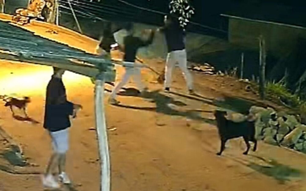 Influenciador é acusado de agredir duas garis durante trabalho em MG - Foto: Reprodução/Redes Sociais