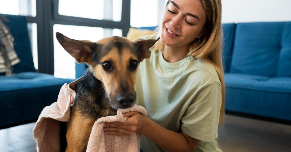 Limpeza de casa com pets: dicas para manter o lar sempre agradável 1 Limpeza de casa com pets: dicas para manter o lar sempre agradável