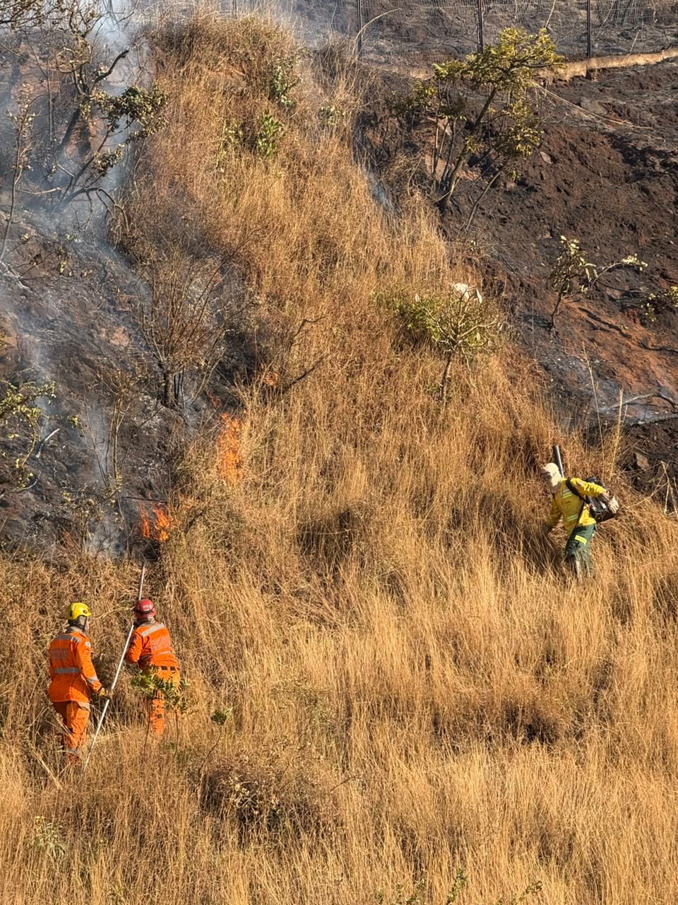 Fotos: Incêndio na Serra do Curral é controlado após mais de seis horas de combate em BH 2 Incêndio na Serra do Curral é controlado após mais de seis horas de combate em BH - Foto: Divulgação/CBMMG