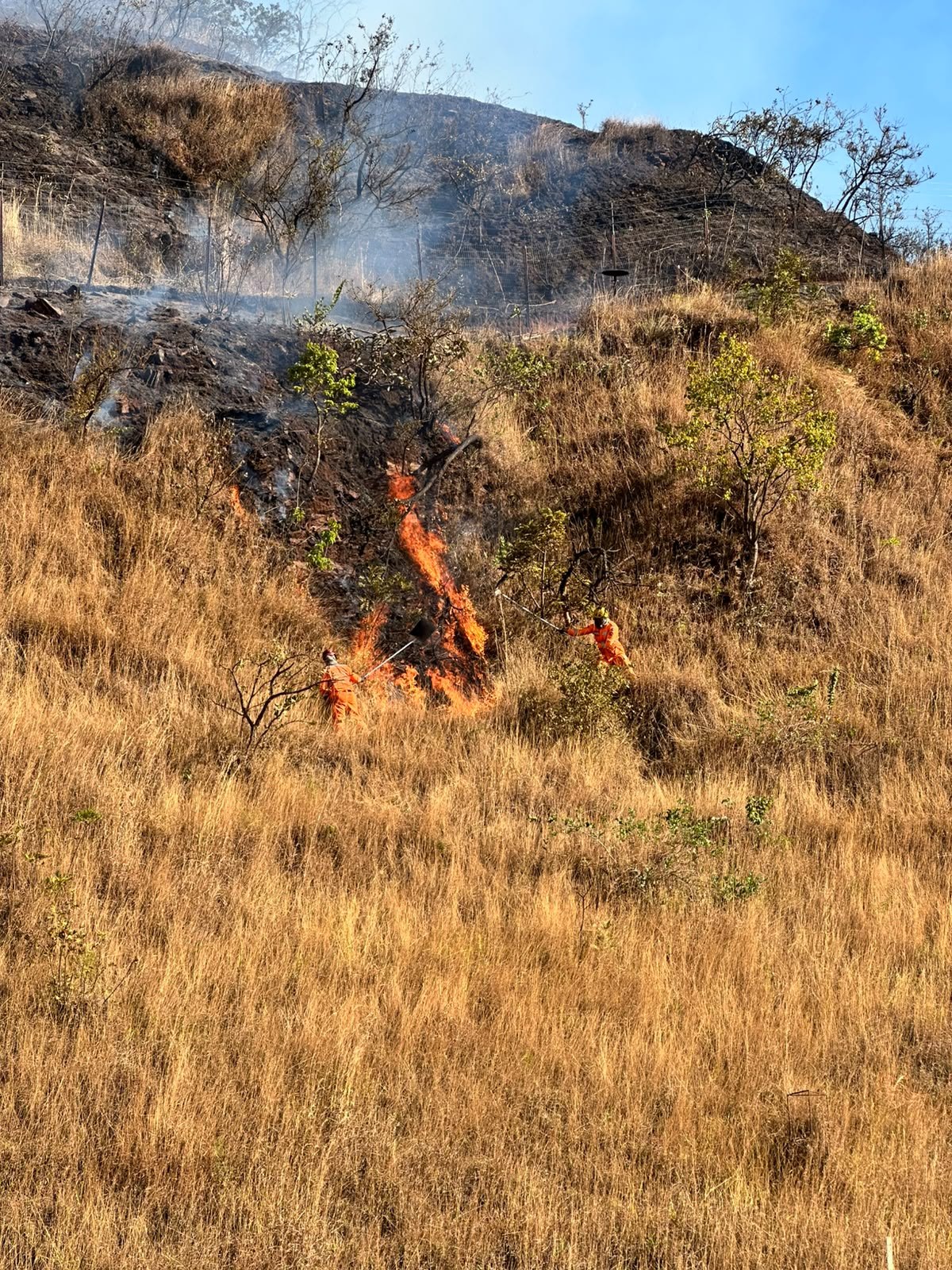 Fotos: Incêndio na Serra do Curral é controlado após mais de seis horas de combate em BH 1 Incêndio na Serra do Curral é controlado após mais de seis horas de combate em BH - Foto: Divulgação/CBMMG
