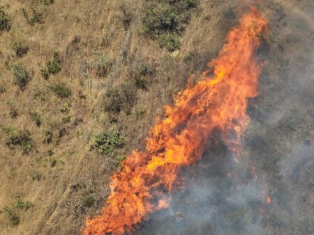 Incêndio na Serra do Curral é controlado após mais de seis horas de combate em BH - Foto: Divulgação/CBMMG