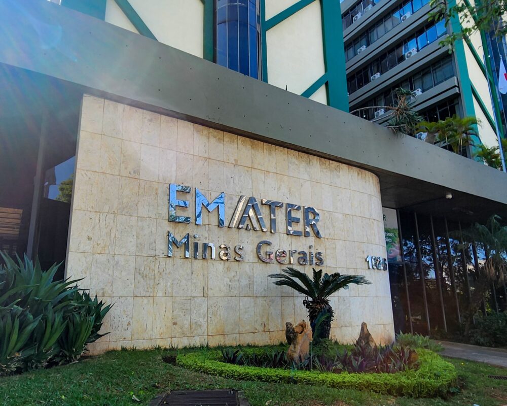 Emater-MG abre concurso com 120 vagas e salários de até R$ 7,3 mil; veja como participar Emater-MG abre concurso com 120 vagas e salários de até R$ 7,3 mil; veja como participar - Foto: Divulgação / Imprensa MG