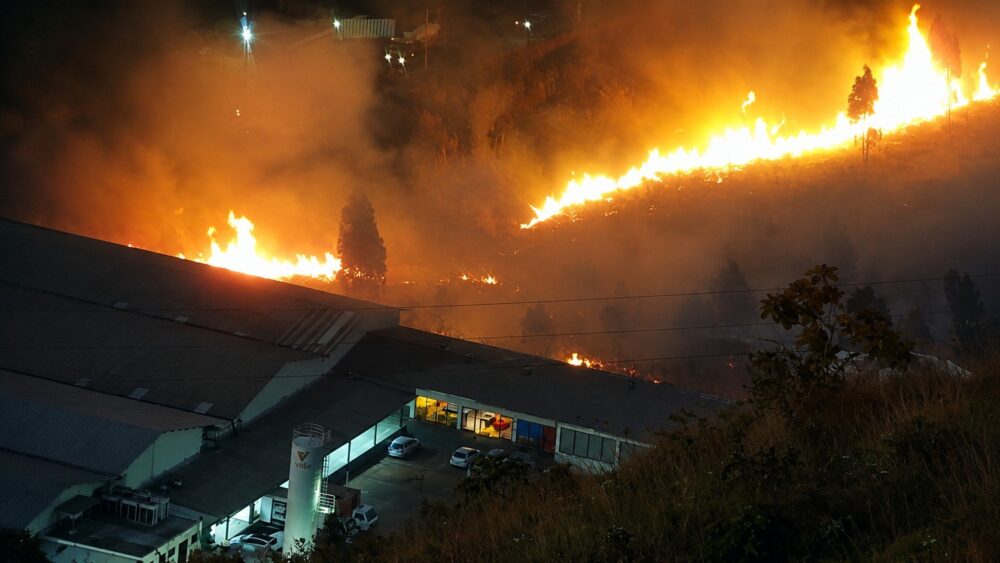 Bombeiros combatem quatro incêndios em áreas da Grande BH - Foto: Divulgação/CBMMG