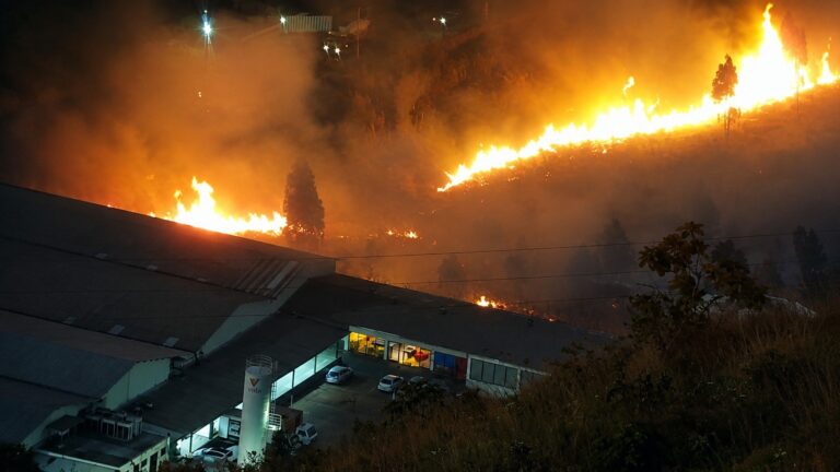 Bombeiros combatem quatro incêndios em áreas da Grande BH Bombeiros combatem quatro incêndios em áreas da Grande BH - Foto: Divulgação/CBMMG