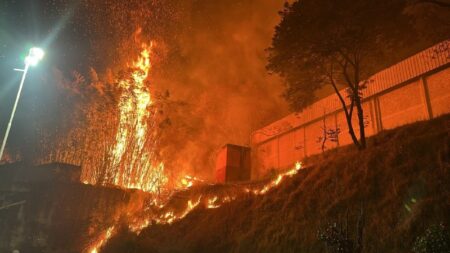 Incêndio atinge área de mata na Vila Sumaré, em BH - Foto: Divulgação/CBMMG